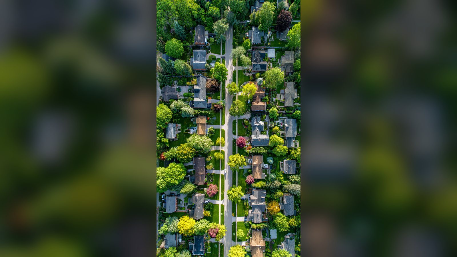 Cover image for the article: What Chicagoland Sellers Need to Know Before Listing This Spring